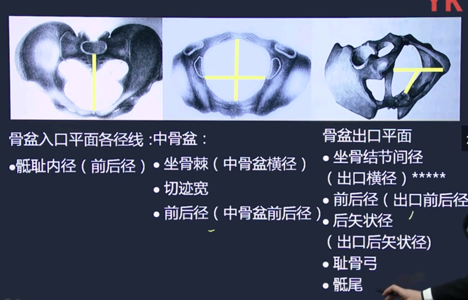 妇产知识点 妇产知识点