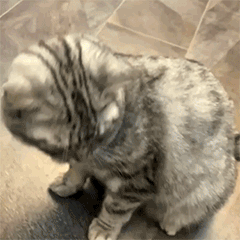 每日200道题--day1 每日200道题--day1