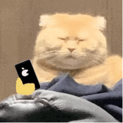 淋巴瘤/骨髓瘤--医考帮 淋巴瘤/骨髓瘤--医考帮