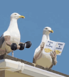 淋巴瘤/骨髓瘤--医考帮 淋巴瘤/骨髓瘤--医考帮